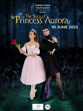 The Story of Princess Aurora